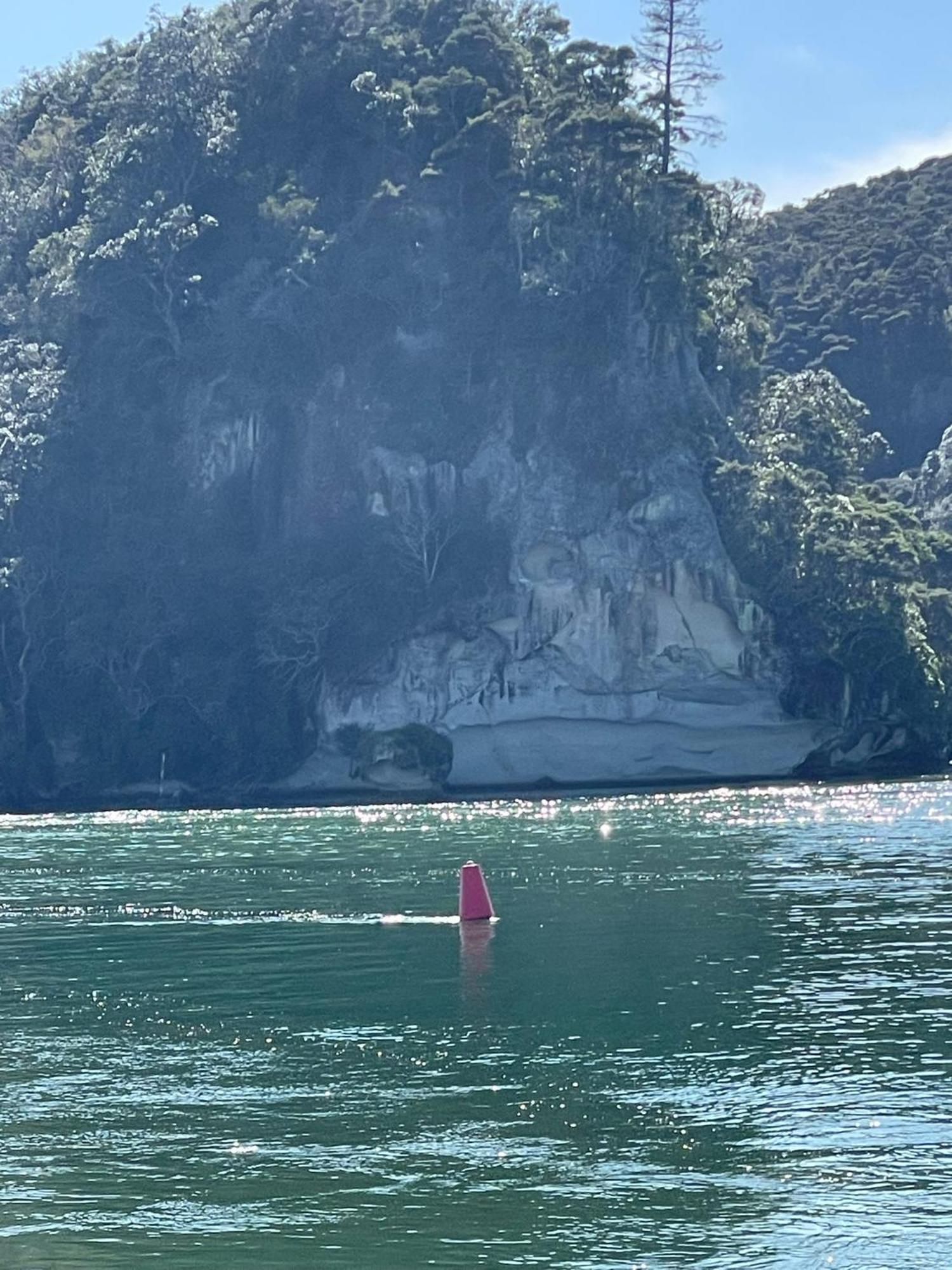 Make Memories At Cook Drive Villa Whitianga Kültér fotó